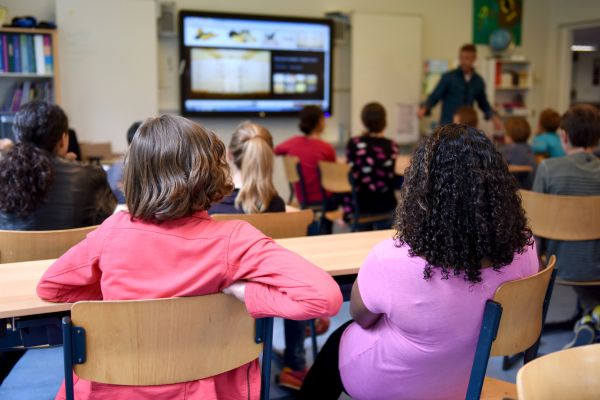 Affordable Online Elementary Schools For A Quality Education