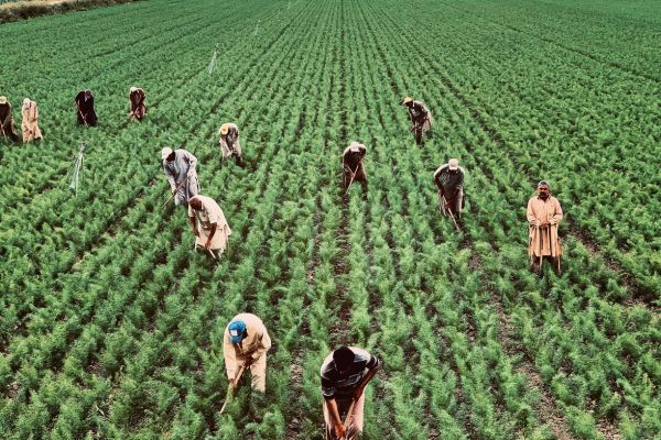 Apply Now: Agricultural Manager/Farm Work USA 2024 Salary $120,400